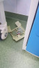 Gândaci în Secţia de Pediatrie a Spitalului Judeţean Botoșani / Inspectorii DSP au intrat pe fir - ce alte nereguli au descoperit