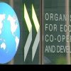 Government informs that 125,000 euros is Romanias voluntary financial contribution to OECD budget