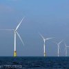 Logică nemțească - Autoritățile germane sacrifică mediul de dragul energiei regenerabile