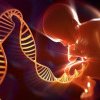 O decizie juridică importantă în Alabama, SUA: embrionii criogenizați sunt acum considerați copii în ochii legii