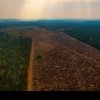 Pădurea Amazoniană amenințată să atingă un 'punct de ruptură' până în 2050