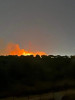 Peste 22 de hectare de păşune şi lizieră au fost incendiate; pompierii au acţionat timp de patru ore