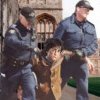 Polițiști echipați cu arme de foc au mers să îl aresteze pe Harry Potter: O baghetă de magician a pus pe jar un hotel întreg