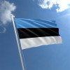 Premierul Estoniei dezvăluie: Rusia a fost oprită în încercarea de a desfășura o operațiune hibridă în țara baltică