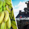 Rusia a câștigat războiul bananelor: o simplă amenințare a Moscovei a oprit totul