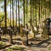 Se deschide primul cimitir ortodox în Japonia: o biserică din lemn din România va servi drept capelă