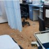 VIDEO| 'Distrugătorul din Vaslui': S-a automutilat, a ajuns la spital și a distrus secția UPU - Medicii sunt în stare de șoc