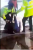 VIDEO Scene șocante în plină stradă. Șoferiță prinsă cu numere false, bătută și încătușată de polițiști
