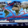 VIDEO - Un fenomen extrem de periculos se petrece în oceane și generează efecte devastatoare pentru omenire