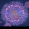 Virusul înrudit cu variola a făcut prima victimă. Modul de transmitere și simptome