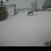 Risc de avalanșă în munții Șureanu. Meteorologii au emis avertizări pentru mai multe zone muntoase din țară