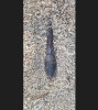 Bombă de aruncător, găsită într-un pârâu, în Harghita
