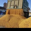 Importuri de cereale ucrainene în România, deși existau interdicții UE