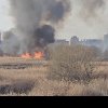 VIDEO. Incendiu puternic în Delta Văcărești. Pompierii din București intervin de urgență