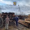 Amenzi de 30.000 lei pentru activități ilegale în domeniul silvic, în județul Arad