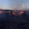 Incendiile de vegetație continuă să facă prăpăd în țară. Cei care își curăță terenurile dându-le foc pot primi amenzi uriașe