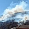 Ard dealurile din Buzău! | 20 de hectare afectate