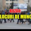 Lista locurilor de muncă vacante în Buzău, la data de 19 februarie 2024