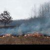 Incendii de vegetație, în zona Lugoj – Făget. Peste 140 de hectare, cuprinse de flăcări