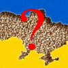 Ce cantități de cereale din Ucraina au intrat în România!