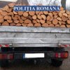 Continua defrisarile ilegale de padure si transportul fraudulos de lemne! Vezi aici cu ce s-au coinfruntat politistii buzoieni!