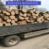 Taieri ilegale de arbori si transporturi frauduloase de lemne, sanctionate de politisti. Vezi cum au fost prinsi in fapt hotii!