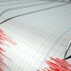Cutremur de magnitudine 4,2 în Vrancea
