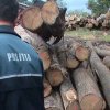 Peste 80 de metri cubi de lemne confiscate de polițiști