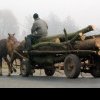 Trei dâmbovițeni, prinși cu căruțele pline de lemne fără acte! Polițiștii i-au amendat, dar le-au confiscat și încărcăturile