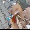 Ultimatum pentru floreştenii care şi-au lăsat gunoiul de la EasyBox în drum: Ori vii să faci curat, ori îţi dau datele la Poliţia Locală