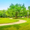 Licitatii Constanta: Primaria Mangalia pregateste un contract pentru intretinerea spatiilor verzi si a parcurilor (DOCUMENT)