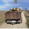 Știri Constanta: ​Amenda pentru transport ilegal de lemne, in Lumina!