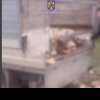 Transport ilegal de lemne, sanctionat de politistii IPJ Constanta (VIDEO)
