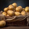 Ajutor de minimis pentru fermierii care cultivă cartofi