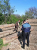 Controale silvice efectuate de polițiștii vrânceni; amenzi și lemn confiscat