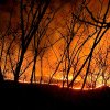 În 6 localități vrâncene, au ars într-o singură zi, în total, peste 650 ha de vegetație uscată