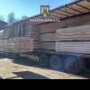 Polițiștii au confiscat 292,24 metri cubi de material lemnos