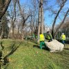 Se curăță spațiile verzi din Timișoara. Programul intervențiilor