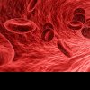 Site nou dedicat hemofiliei, acum disponibil în România