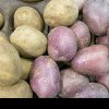 Ajutor de minimis, de 200 de euro pe hectar, pentru crescătorii de cartofi: Care este perioada de înscriere în program