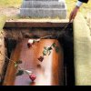 Ajutorul pentru înmormântare 2024: Valoare și acte necesare pentru acordare