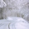 Cod PORTOCALIU de ninsori la munte în Alba și alte județe: Atenționări meteo de ploi și vânt în toată țara