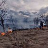 INCENDII de vegetație uscată în două localități din Alba. Recomandările pompierilor pentru prevenirea arderilor necontrolate