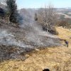 INCENDIU de vegetație uscată în satul Spătac: Au intervenit pompierii din Blaj