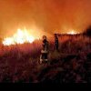 INCENDIU de vegetație uscată la Șeușa: Intervin pompierii din Alba Iulia cu două autospeciale