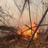 Românii care dau foc vegetației uscate riscă amenzi uriașe. Ce trebuie evitat pentru a scăpa de sancțiuni