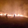Incendii de vegetaţie „la foc automat” în judeţ