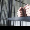 Persoane condamnate la ­închisoare cu executare – ­identificate şi încarcerate de poliţişti prahoveni