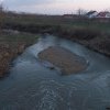 Râul Crasna din județul Satu Mare poluat cu dejecții de la animale