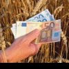 BANI ÎN AGRICULTURĂ Până pe 8 martie se pot solicita subvenții noi pentru anul 2024